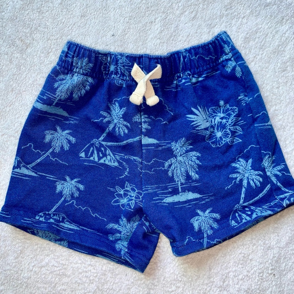 The children’s place shorts 18-24 months